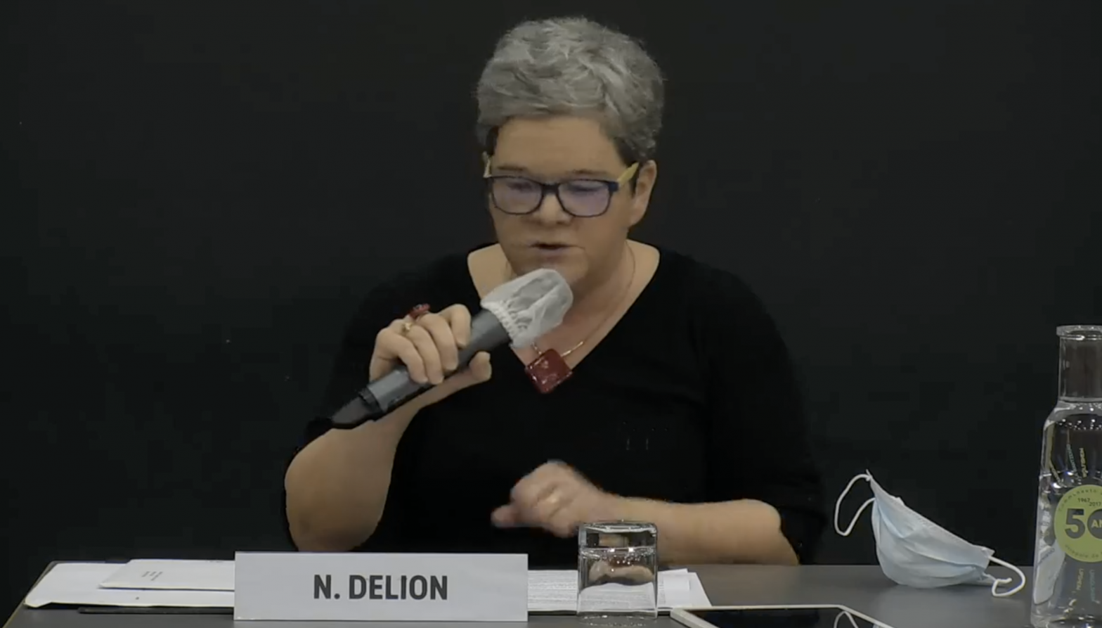 Conseil Municipal du 25 février 2021
